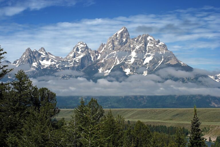 A viewpoint of the Teton Mountain range jutting high above the tree line in Grand Teton National Park.