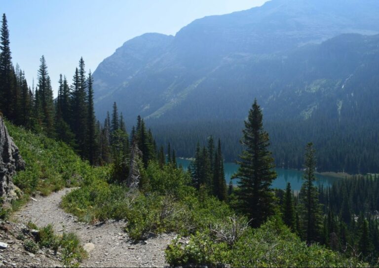 A hiking trail in Montana leading through the forest and mountains.