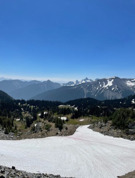 A view of mountains from a hiking trail.