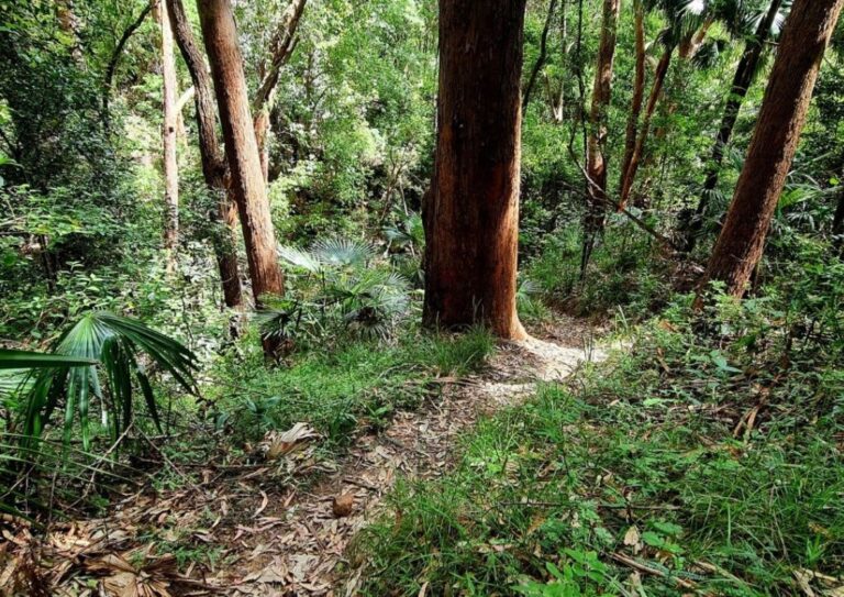 A hiking trail in Australia where you may encounter dangers.