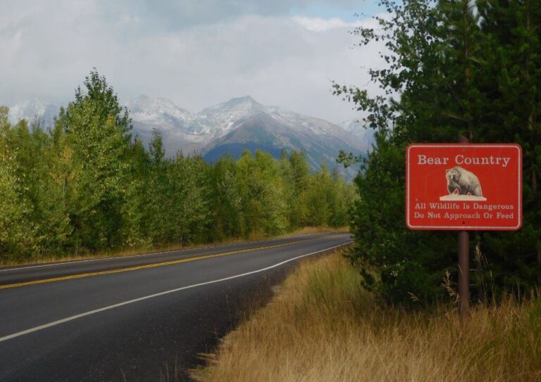 A sign near mountains that's warning hikers of bear country, especially for hiking alone in Glacier National Park.