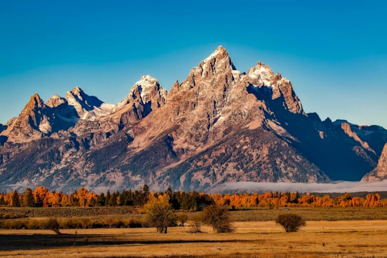 Green Fields Near Brown Mountain in Grand Teton National Park